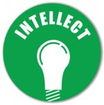 intellect-web-01.jpg