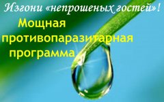 irendnk.justclick.ru_media_content_irendnk_men_777555.jpg